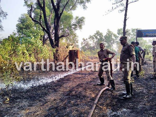 ಕಡಂದಲೆ: ಮೂಲಿಕ ವನ ಬೆಂಕಿಗಾಹುತಿ
